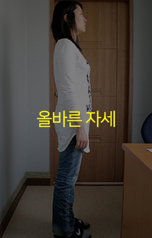 건강한척추자세