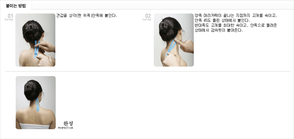 견갑거근