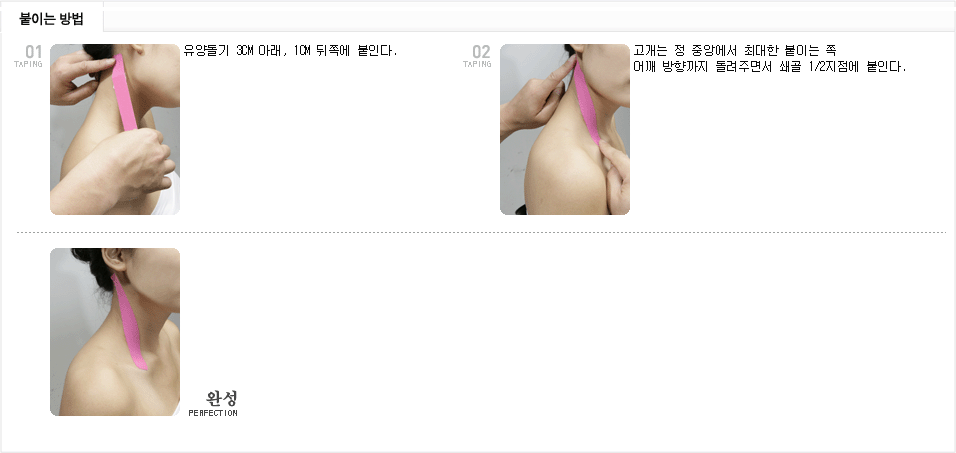 사각근