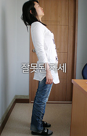 건강한척추자세