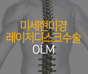 미세현미경디스크수술
