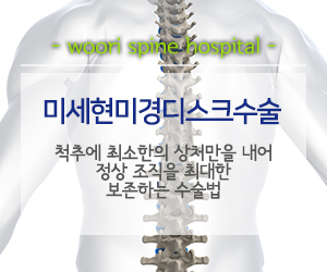 미세현미경디스크수술