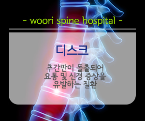 디스크