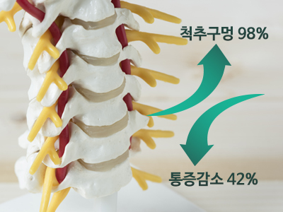 이미지명
