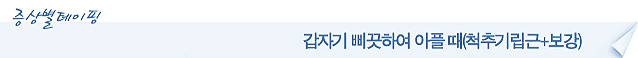 척추기립근+보강