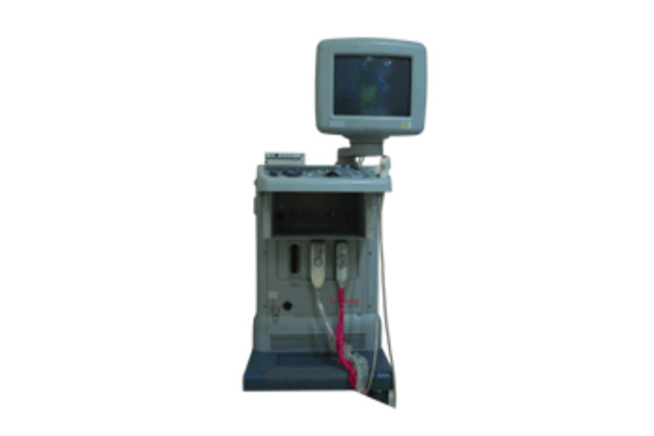 Ultra Sonogram