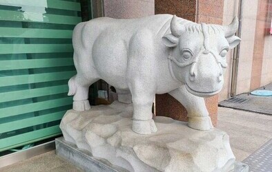 고창 모송노인대학과 진행한 특별한 강의
