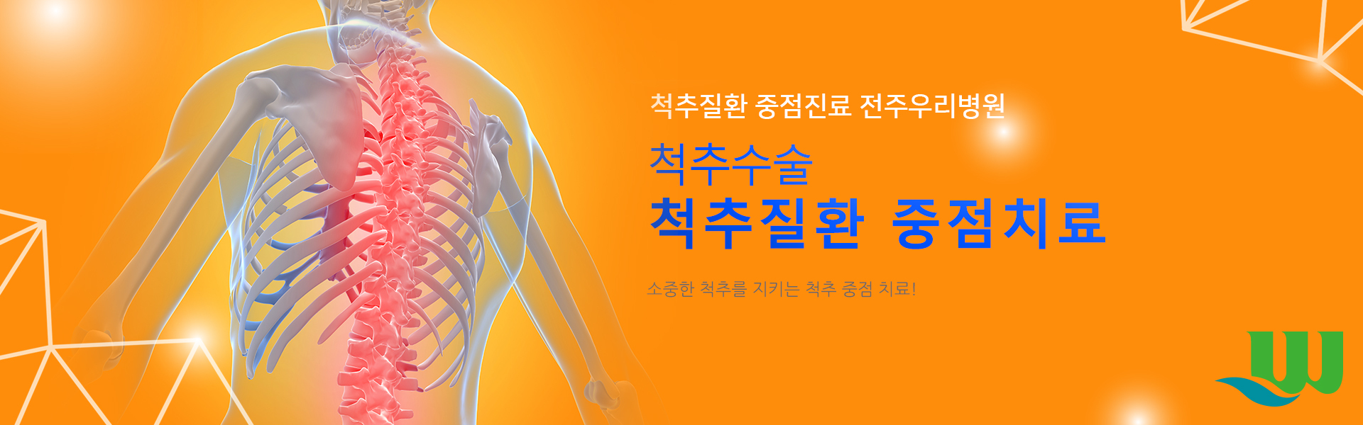 척추질환 중점치료