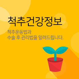 척추건강정보